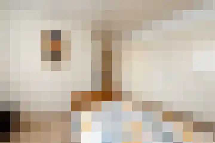 Melleveld 15 Wouw thumbnail 14