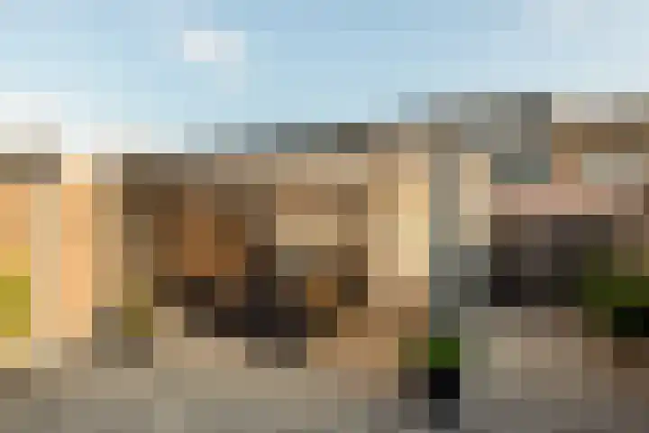 Melleveld 15 Wouw thumbnail 29