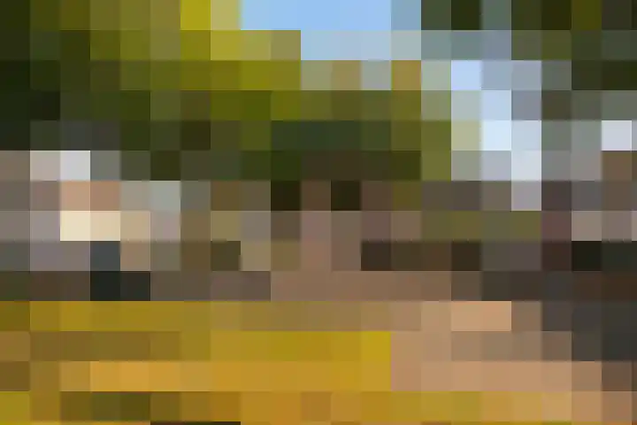 Melleveld 15 Wouw thumbnail 36