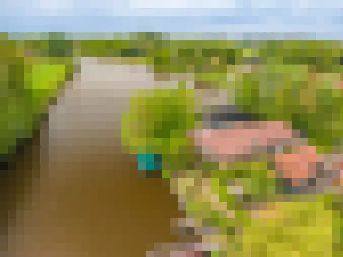 Mello Coendersbuurt 21 Termunterzijl thumbnail 15