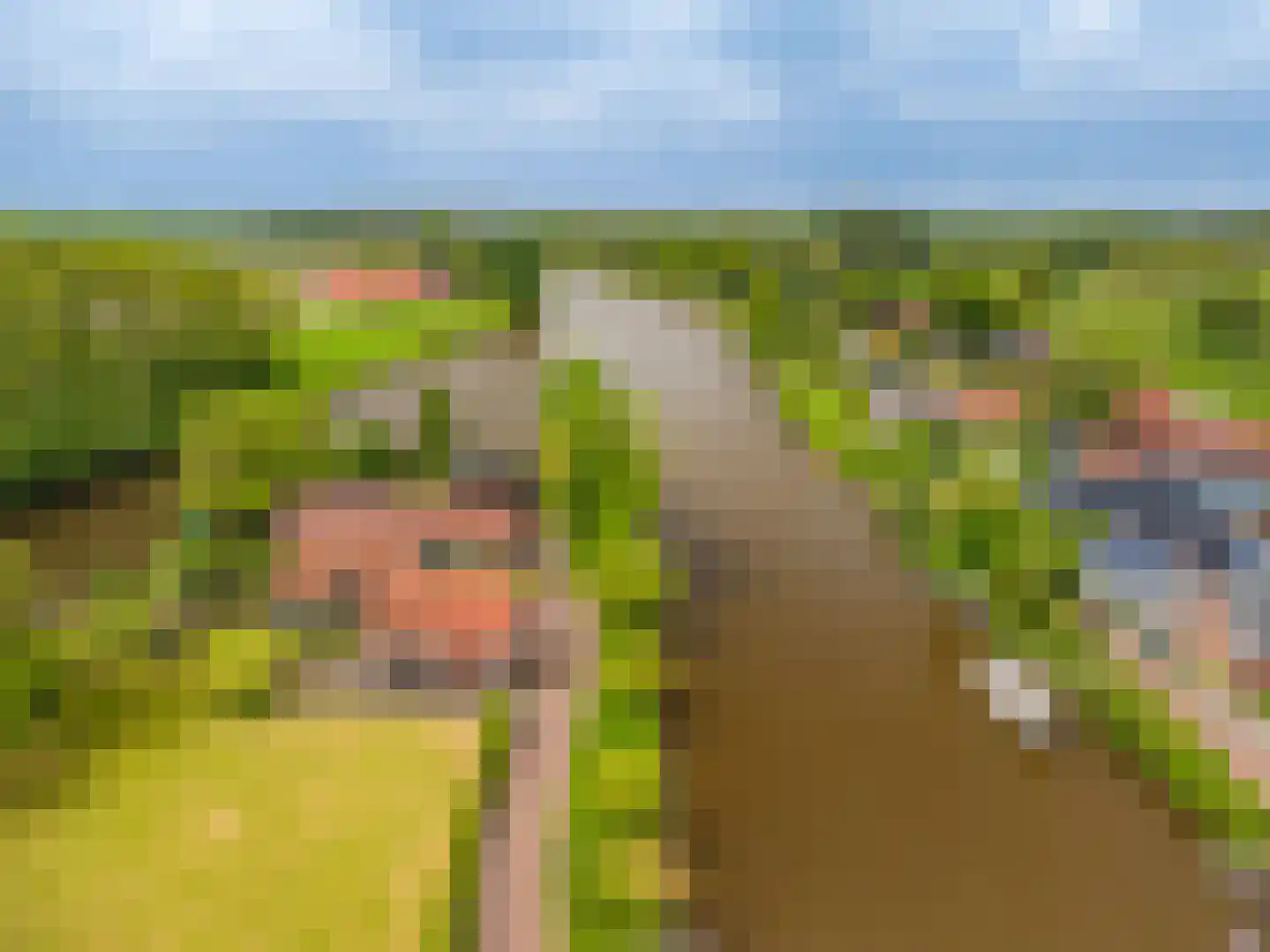 Mello Coendersbuurt 21 Termunterzijl thumbnail 17