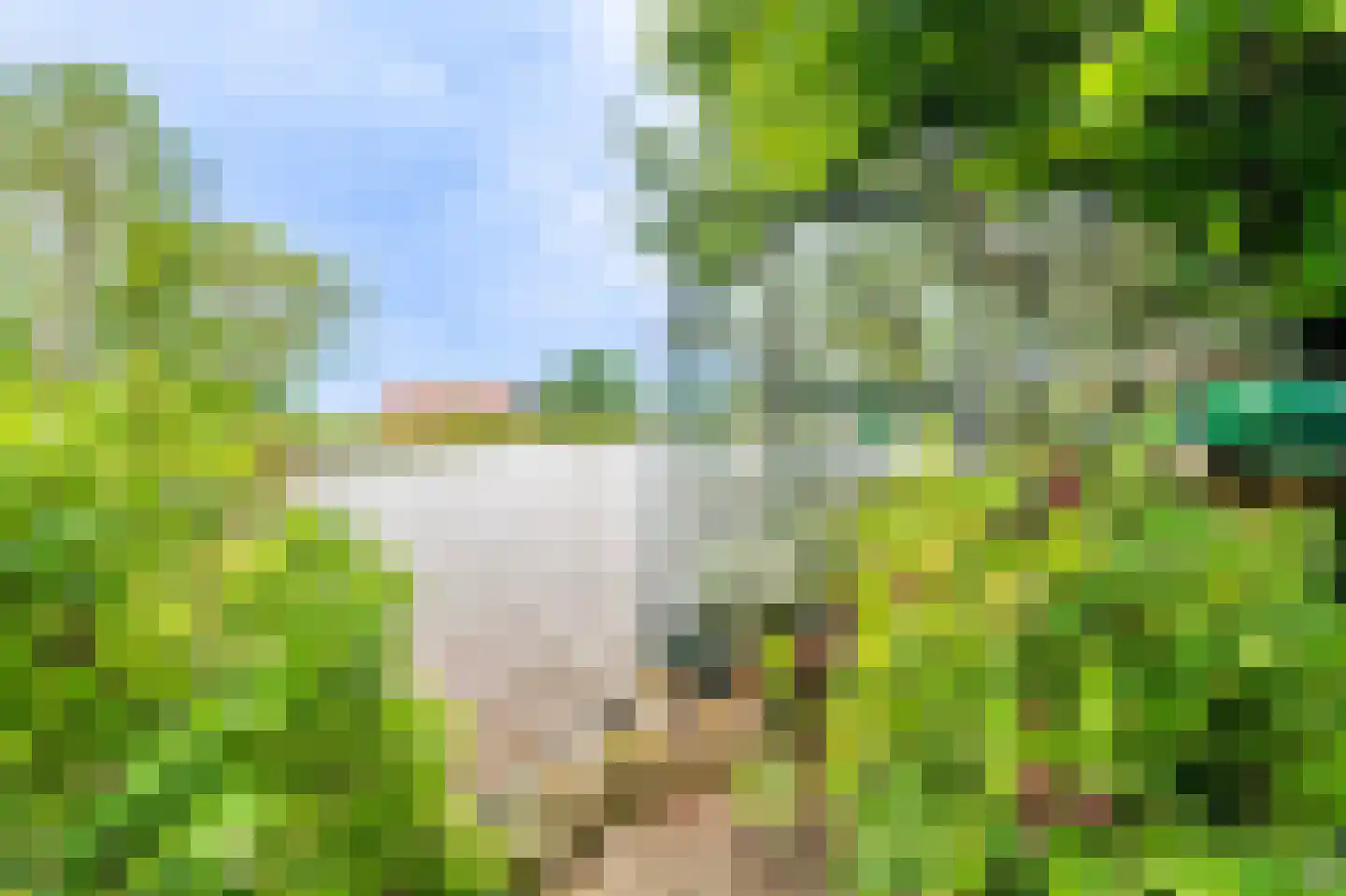 Mello Coendersbuurt 21 Termunterzijl thumbnail 41