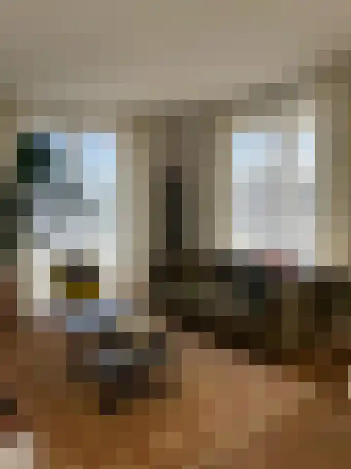 Mellonastraat 12 Naaldwijk thumbnail 14