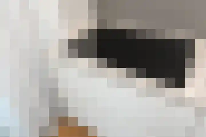 Mellonastraat 12 Naaldwijk thumbnail 19