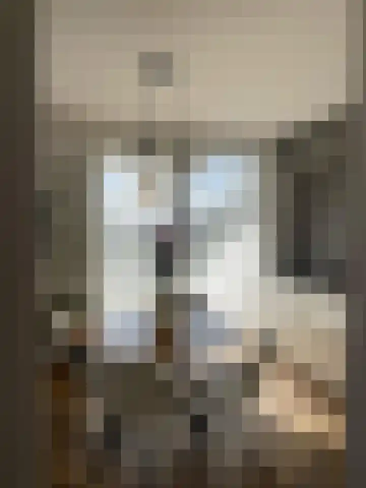 Mellonastraat 12 Naaldwijk thumbnail 22