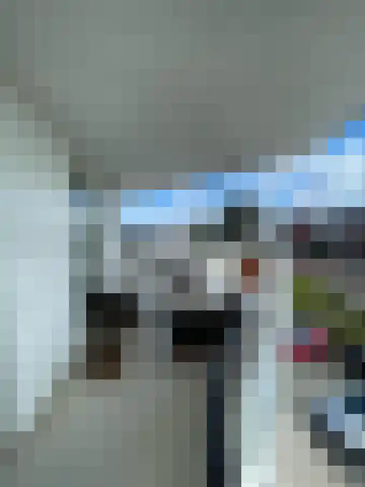 Mellonastraat 12 Naaldwijk thumbnail 30