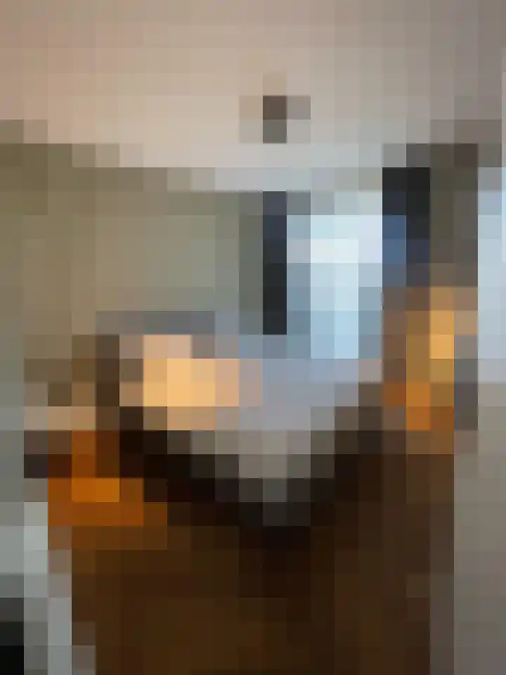 Mellonastraat 12 Naaldwijk thumbnail 34