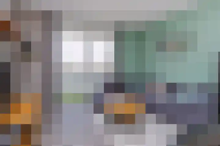 Mellonastraat 19 Naaldwijk thumbnail 14