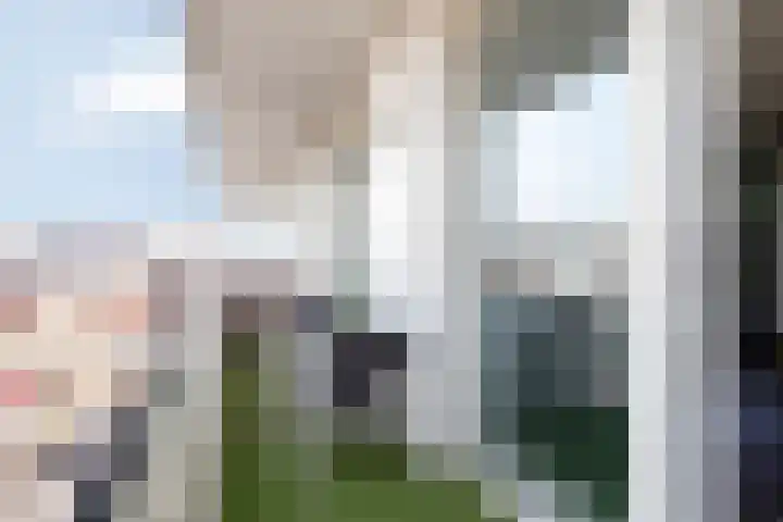 Mellonastraat 19 Naaldwijk thumbnail 15