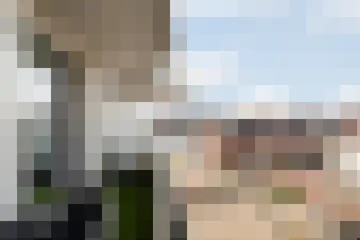 Mellonastraat 19 Naaldwijk thumbnail 16