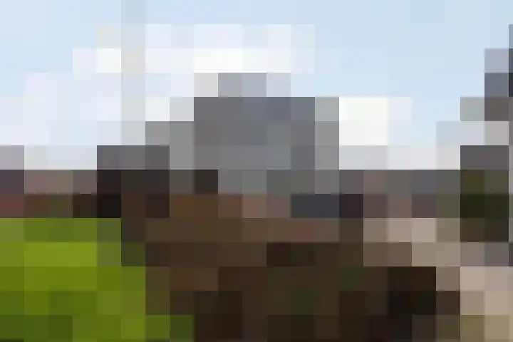 Mellonastraat 19 Naaldwijk thumbnail 28