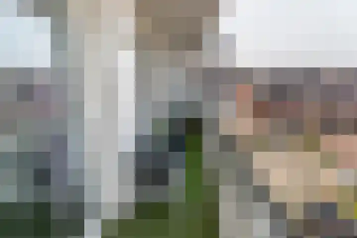 Mellonastraat 19 Naaldwijk thumbnail 4
