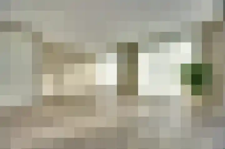 Mellonastraat 23 Naaldwijk thumbnail 11