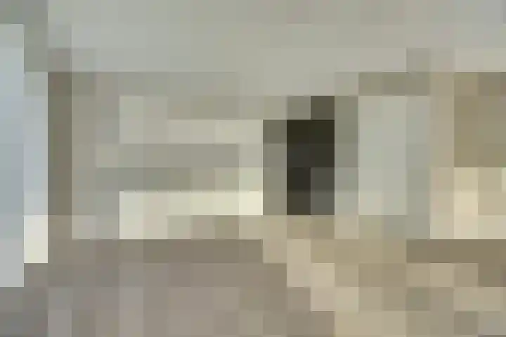 Mellonastraat 23 Naaldwijk thumbnail 14