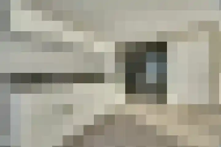 Mellonastraat 23 Naaldwijk thumbnail 15