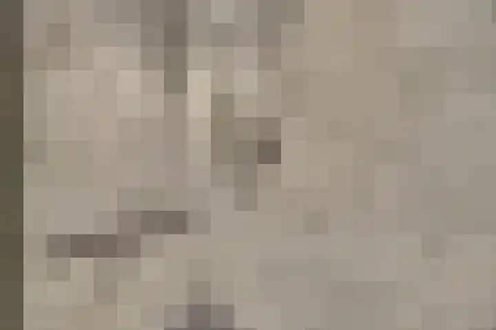 Mellonastraat 23 Naaldwijk thumbnail 24