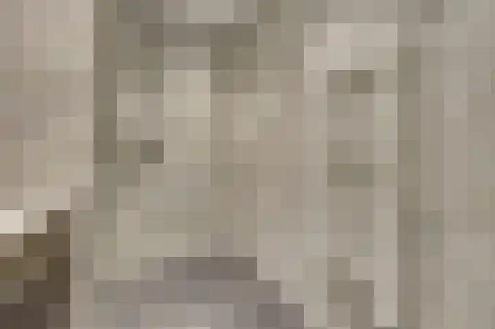 Mellonastraat 23 Naaldwijk thumbnail 25