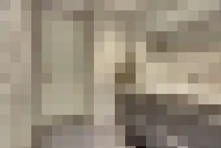 Mellonastraat 23 Naaldwijk thumbnail 26