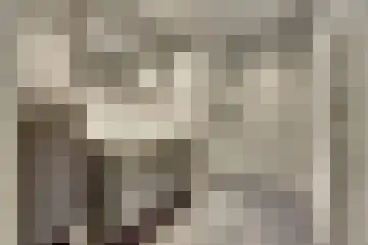 Mellonastraat 23 Naaldwijk thumbnail 4