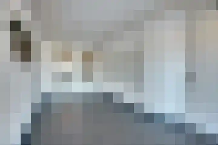 Mellonastraat 23 Naaldwijk thumbnail 7