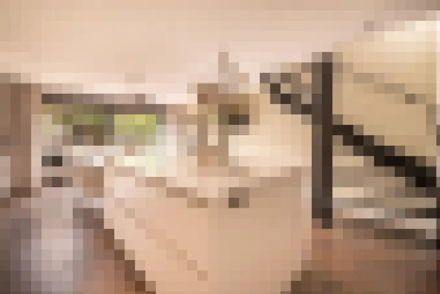 Mellum 114 Zaandam thumbnail 10