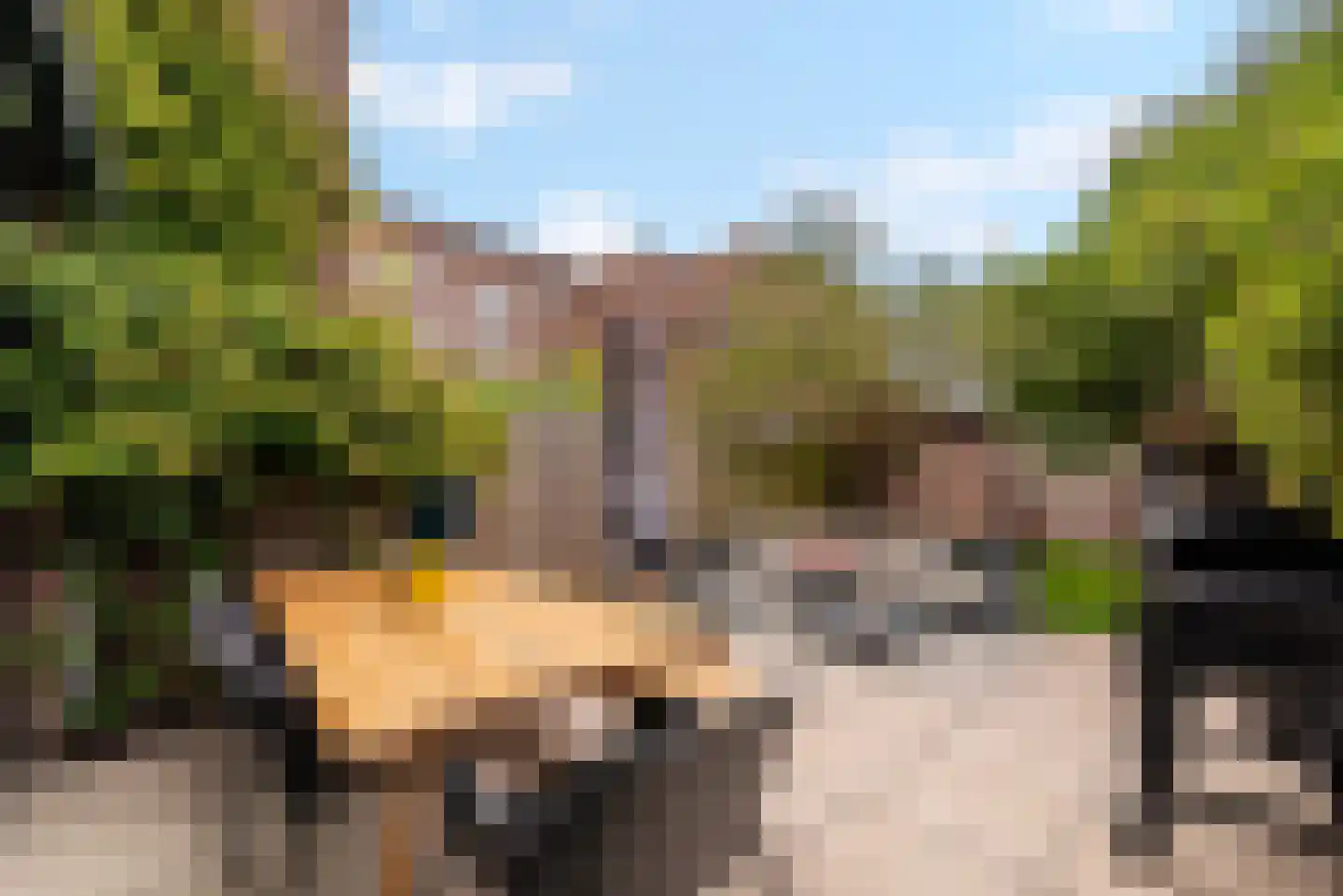 Mellum 114 Zaandam thumbnail 14
