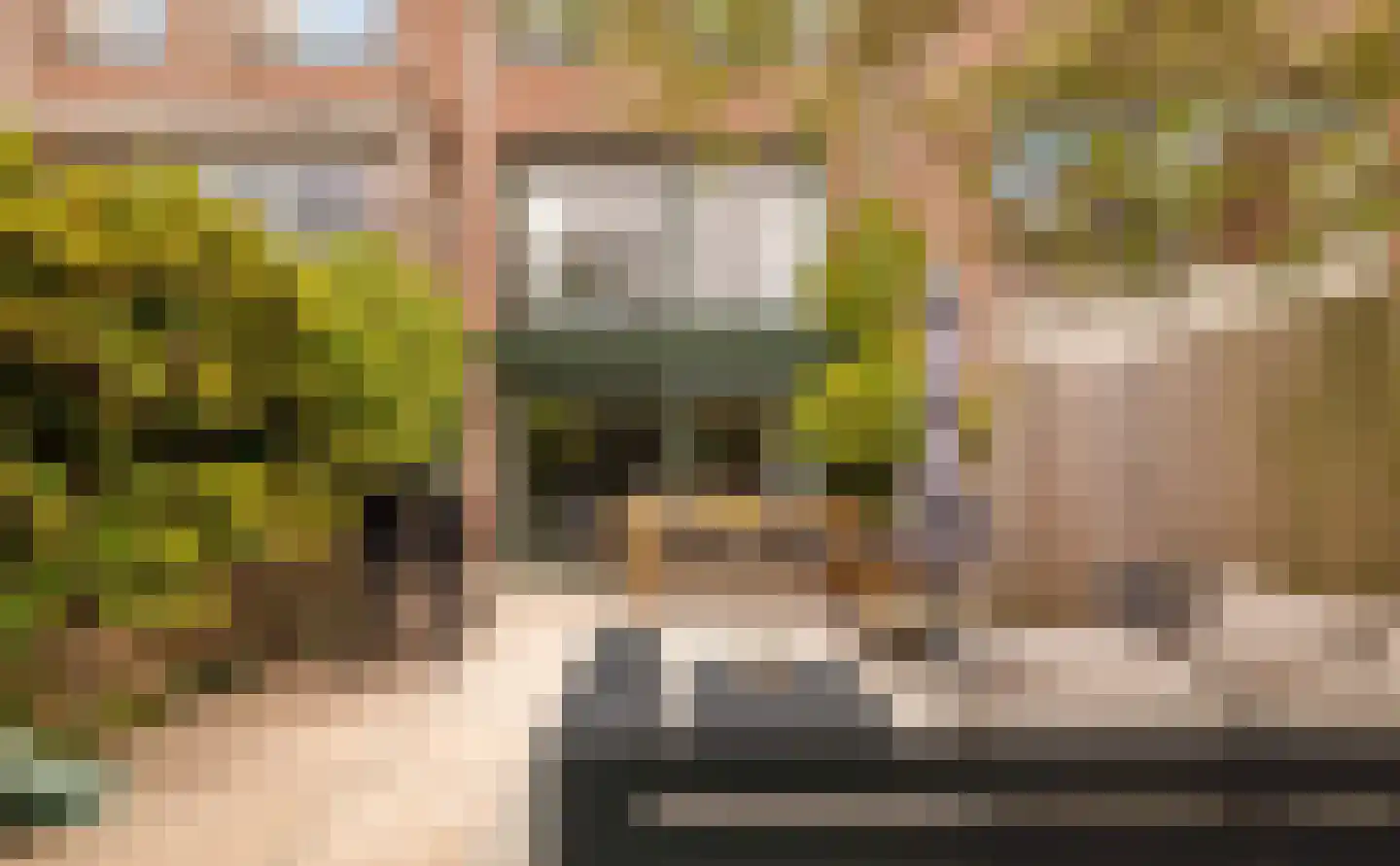 Mellum 114 Zaandam thumbnail 16