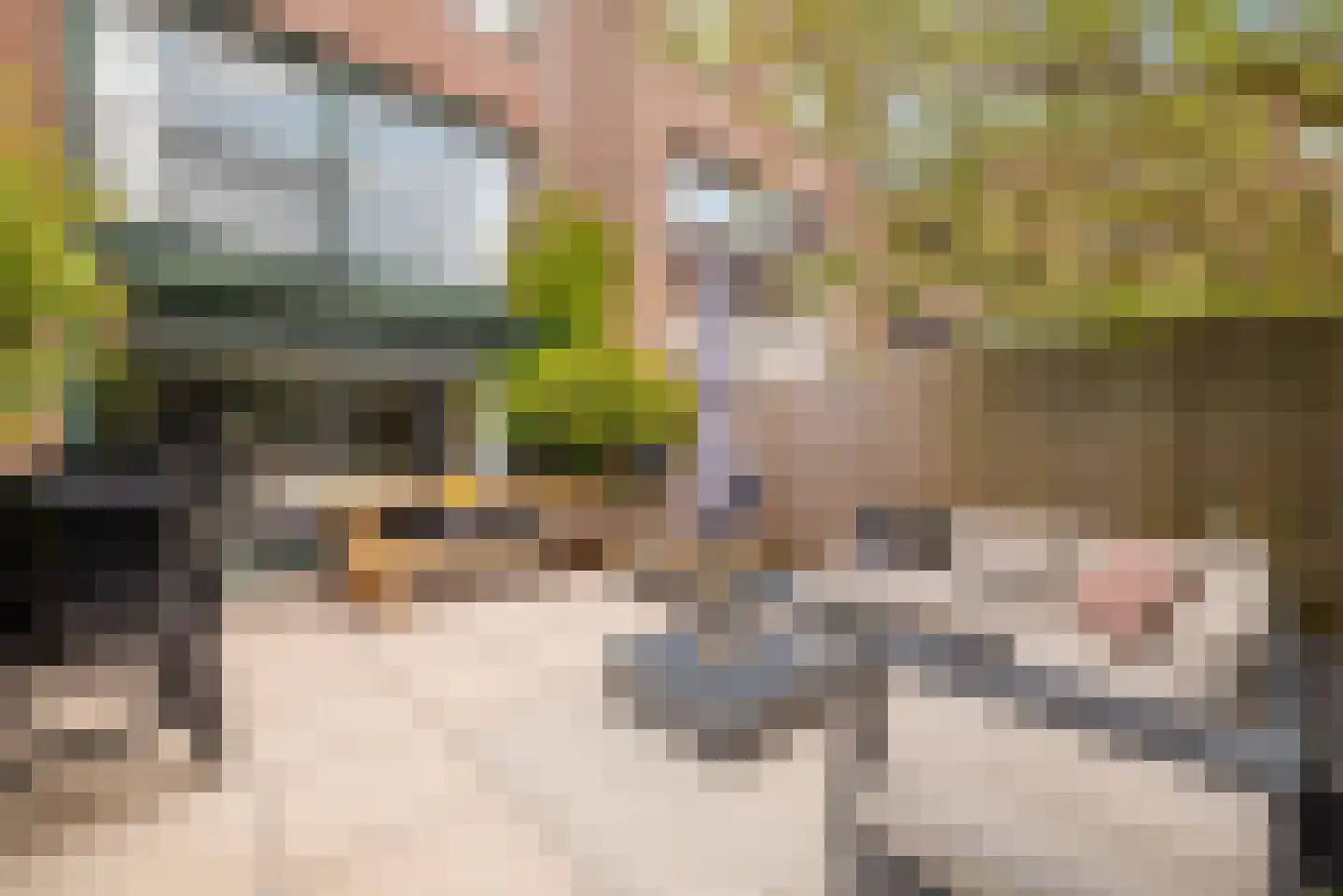 Mellum 114 Zaandam thumbnail 17
