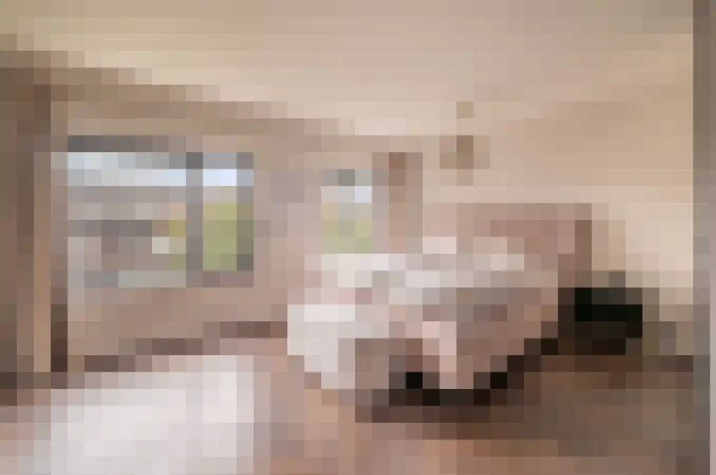 Mellum 114 Zaandam thumbnail 19
