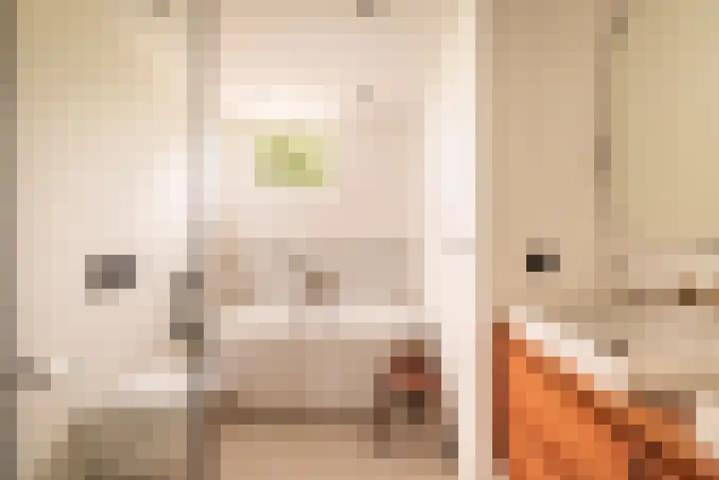 Mellum 114 Zaandam thumbnail 21
