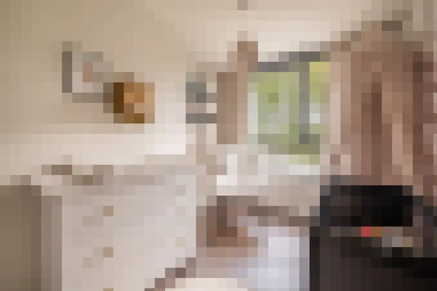 Mellum 114 Zaandam thumbnail 22