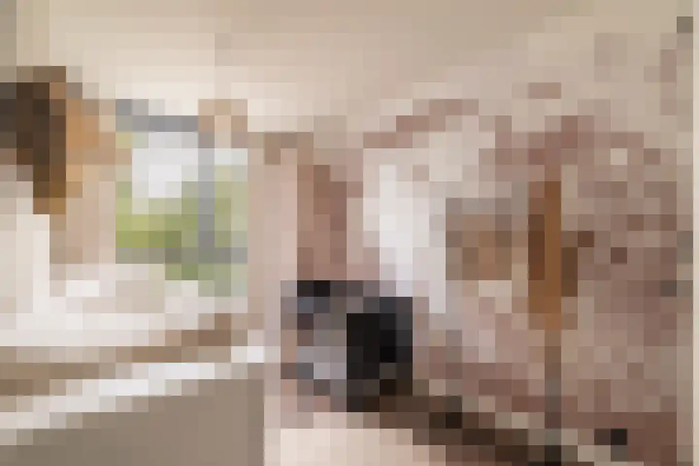 Mellum 114 Zaandam thumbnail 23