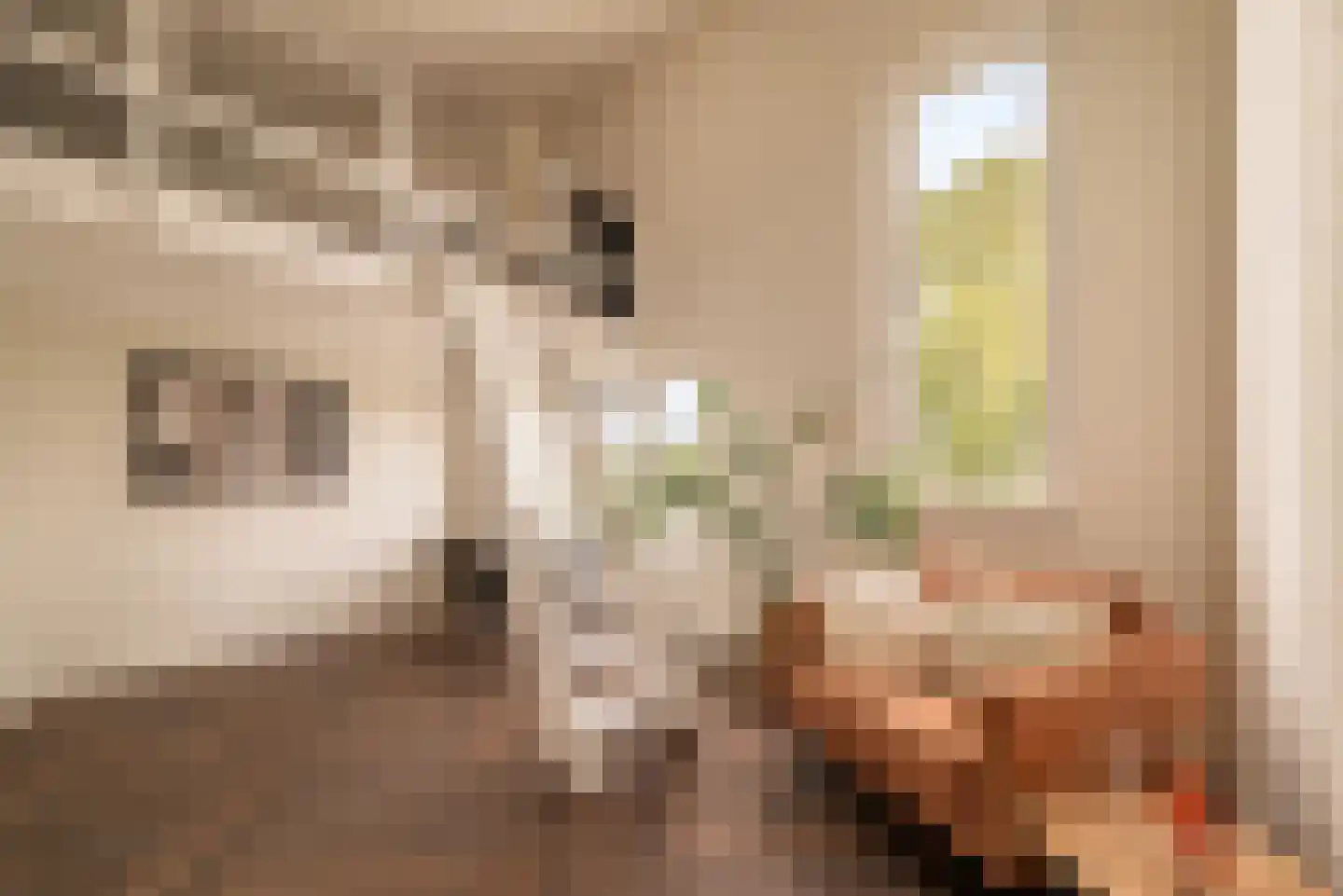 Mellum 114 Zaandam thumbnail 24