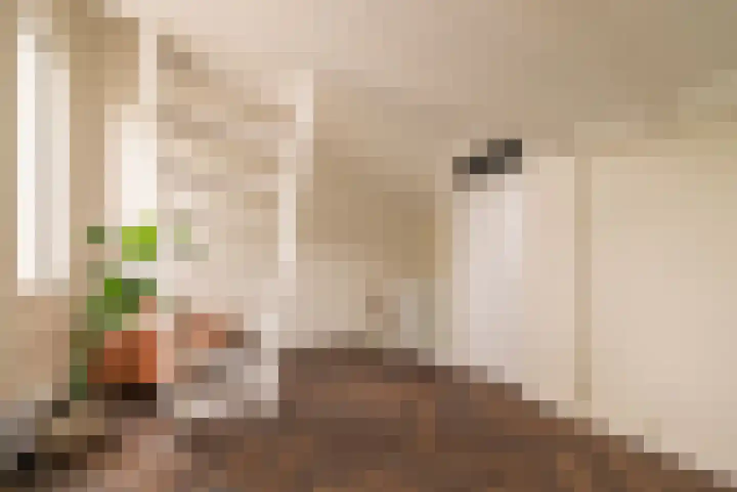 Mellum 114 Zaandam thumbnail 25