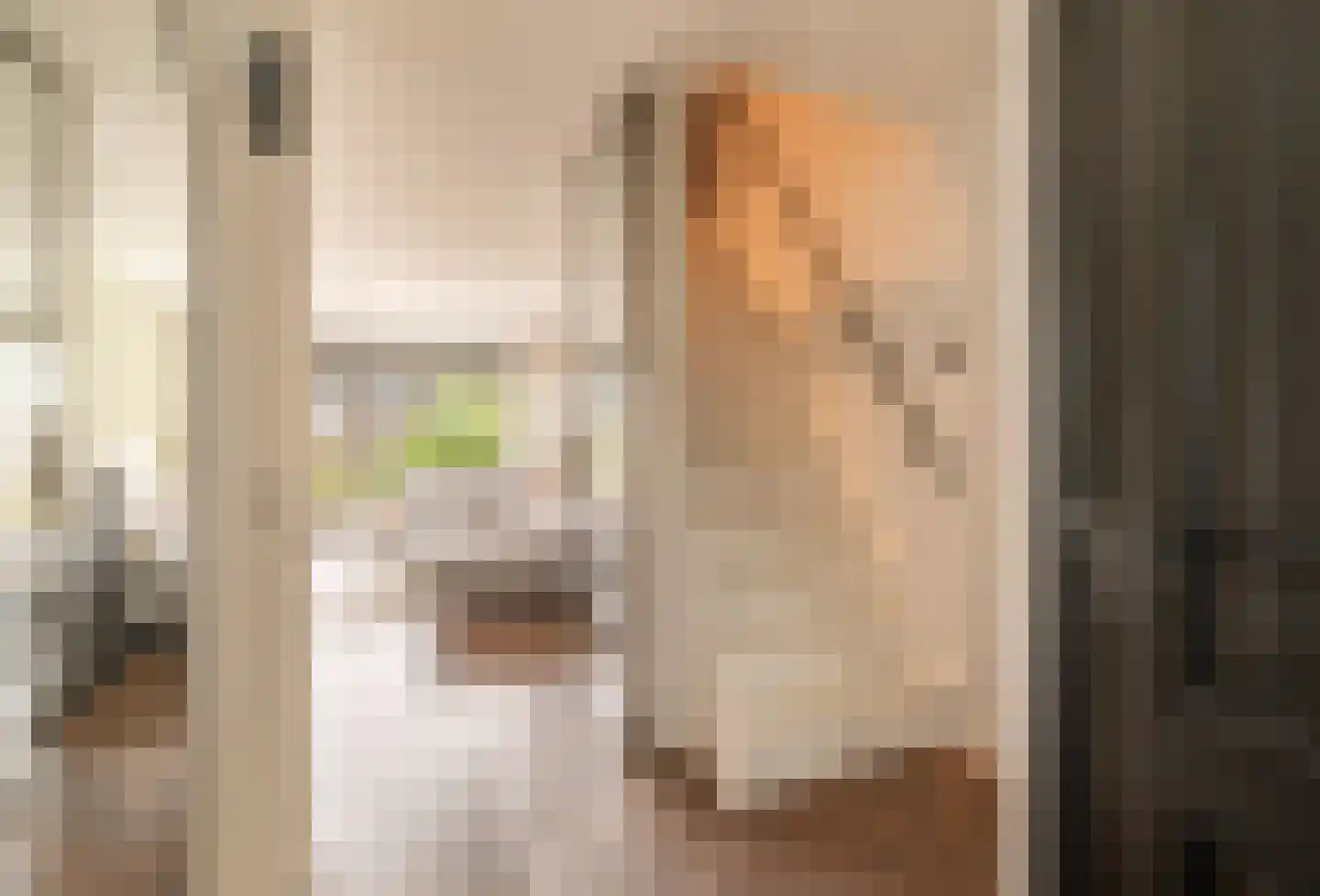Mellum 114 Zaandam thumbnail 28