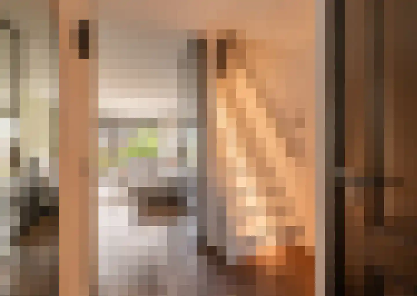 Mellum 114 Zaandam thumbnail 29
