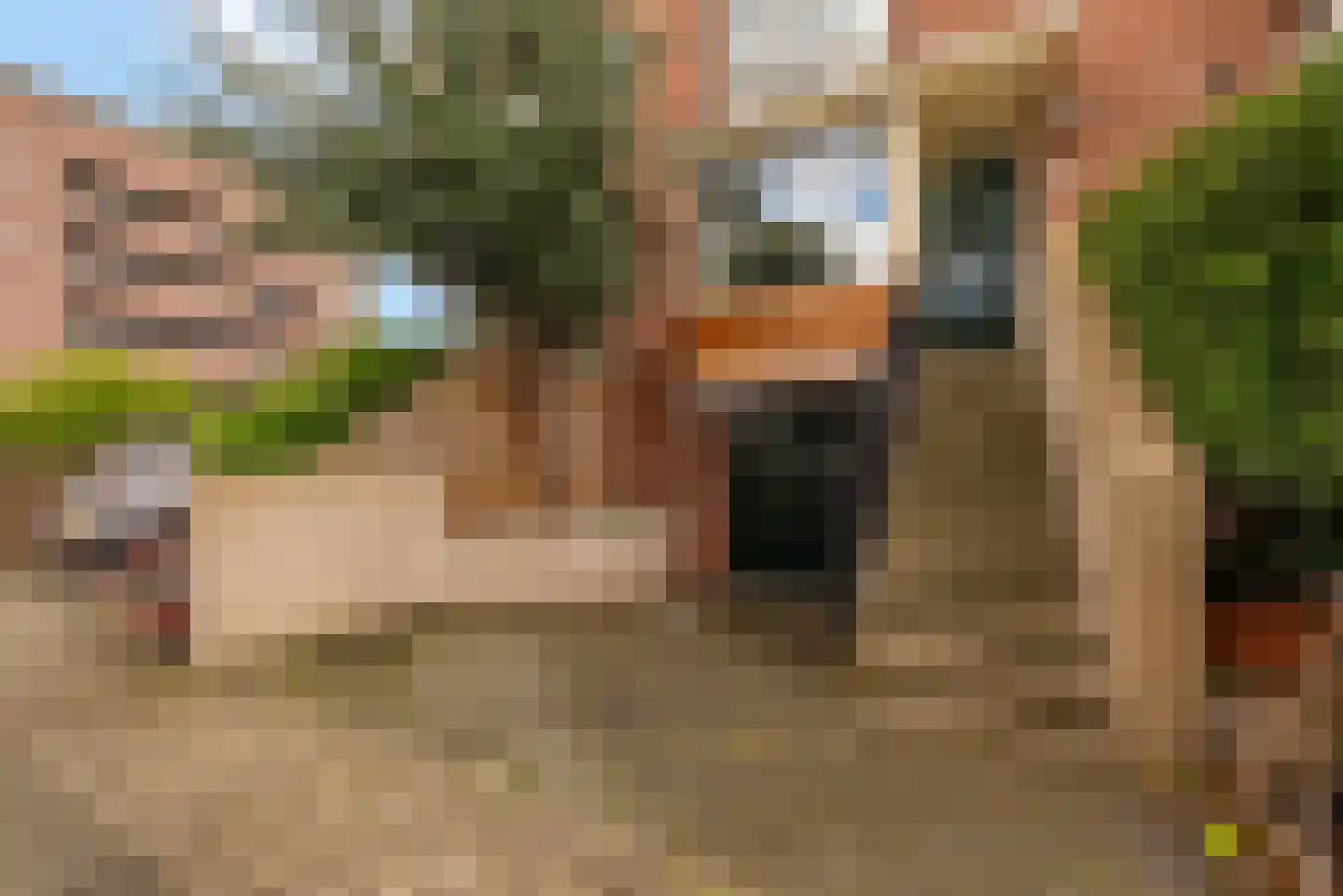 Mellum 114 Zaandam thumbnail 30