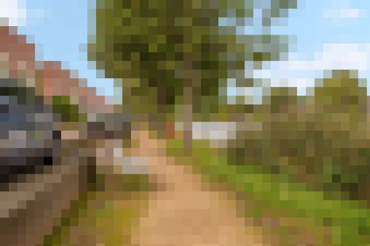 Mellum 114 Zaandam thumbnail 34