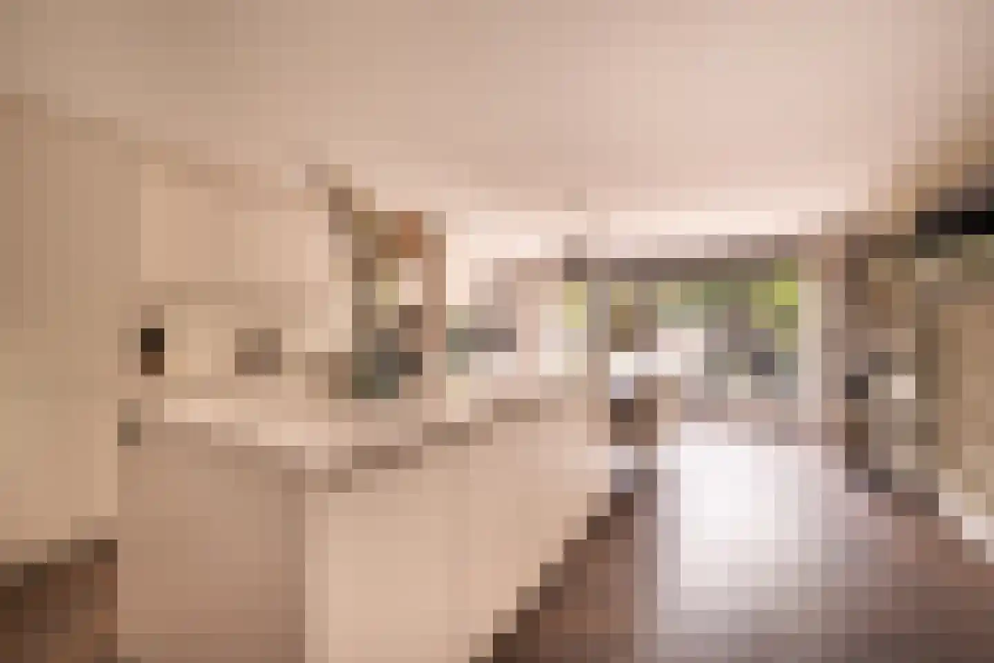 Mellum 114 Zaandam thumbnail 4