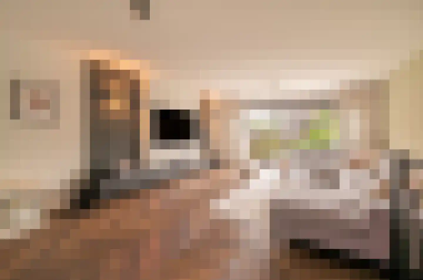 Mellum 114 Zaandam thumbnail 7