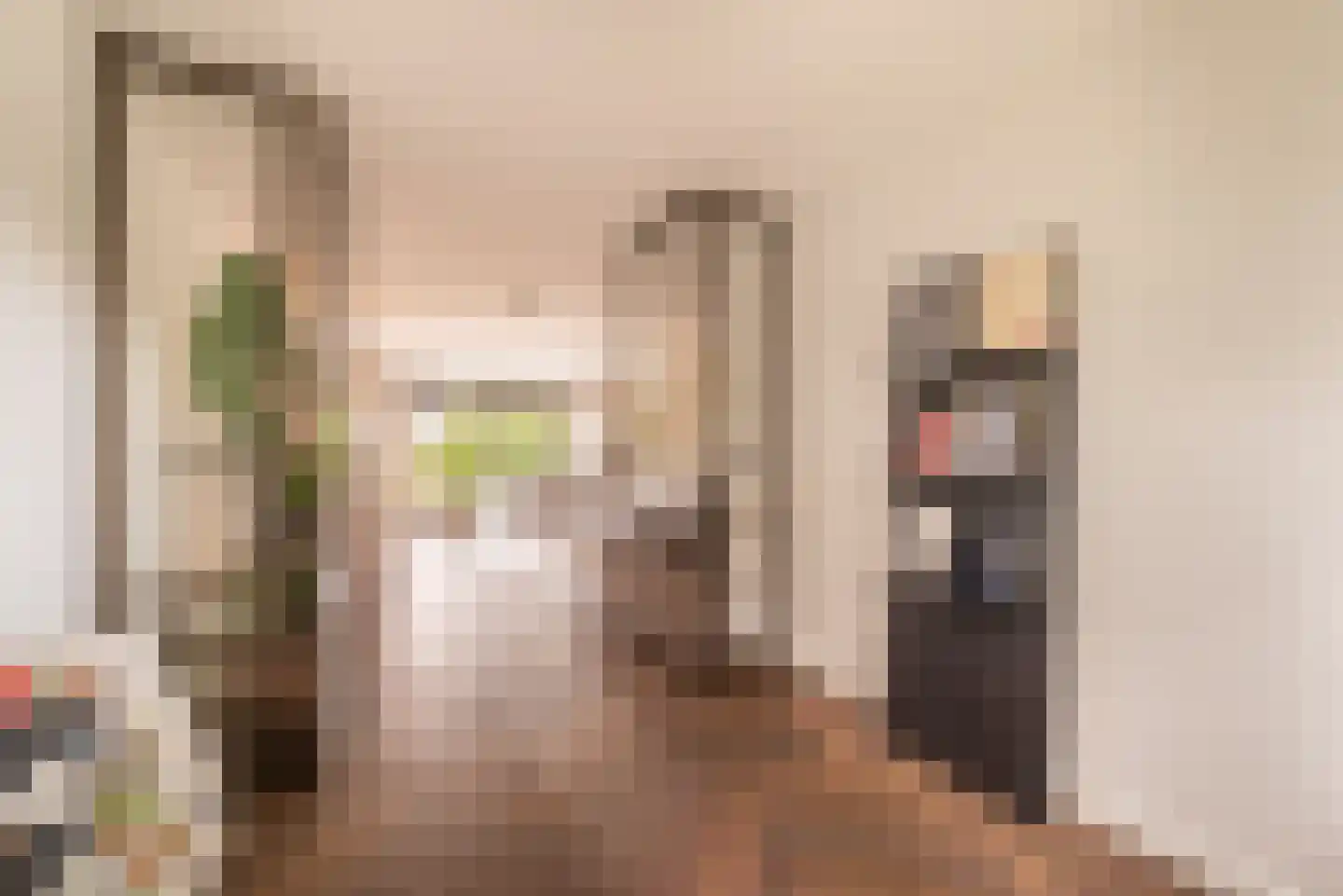 Mellum 114 Zaandam thumbnail 8