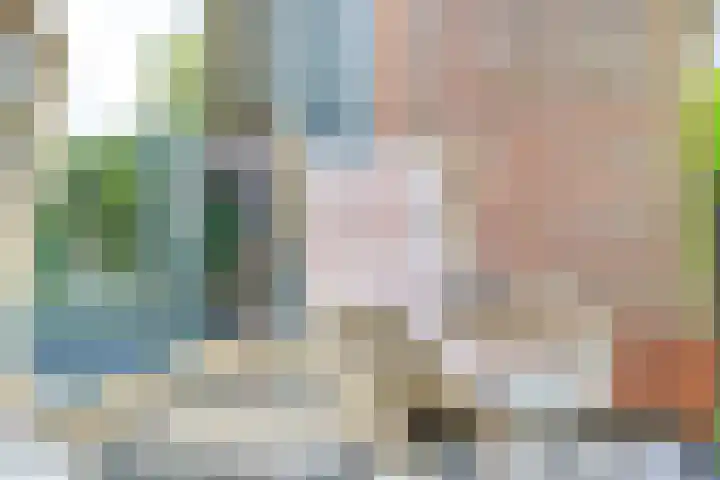 Mellum 22 Zaandam thumbnail 10