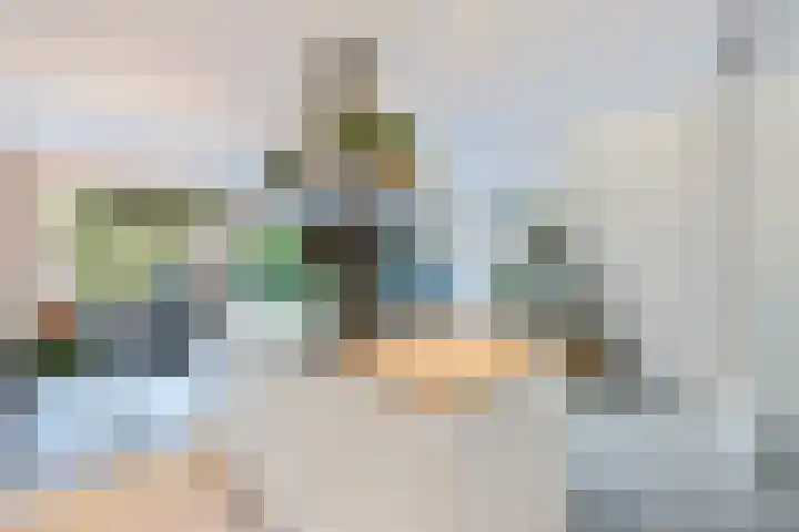 Mellum 22 Zaandam thumbnail 16