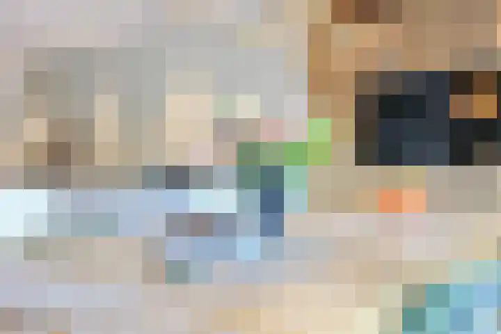 Mellum 22 Zaandam thumbnail 18