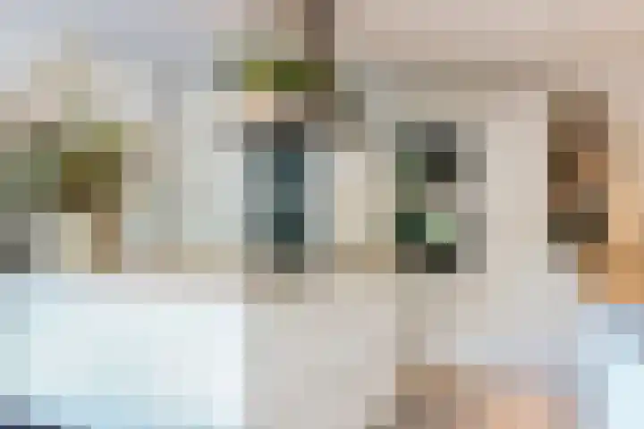 Mellum 22 Zaandam thumbnail 20