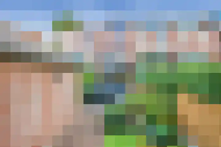Mellum 22 Zaandam thumbnail 21