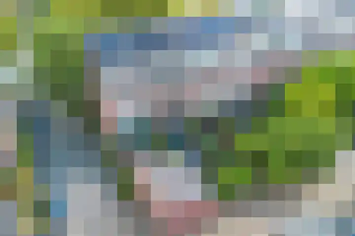 Mellum 22 Zaandam thumbnail 22