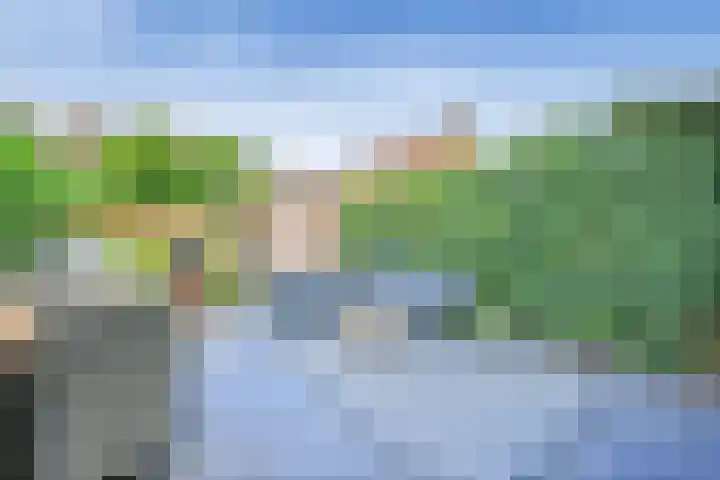 Mellum 22 Zaandam thumbnail 23