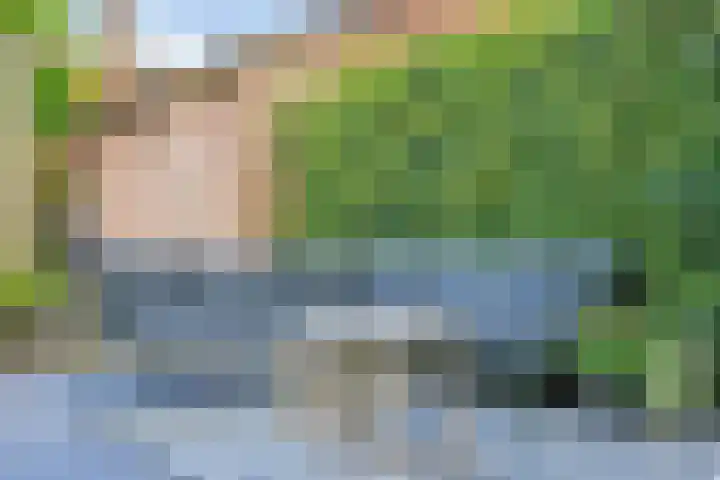 Mellum 22 Zaandam thumbnail 24