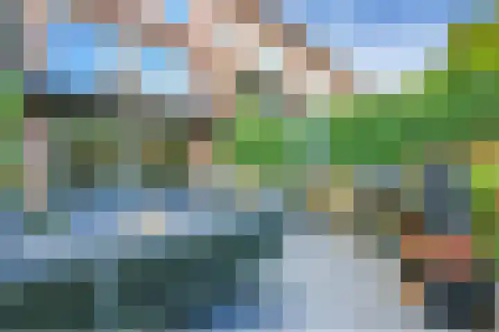 Mellum 22 Zaandam thumbnail 25